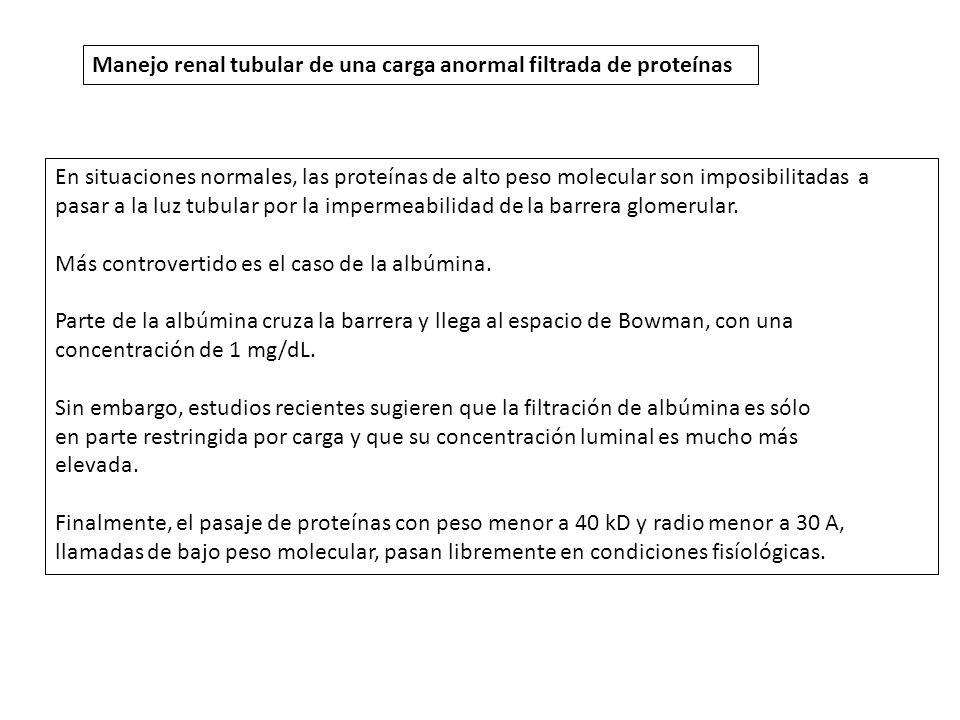 proteinuria de bajo peso molecular y diabetes
